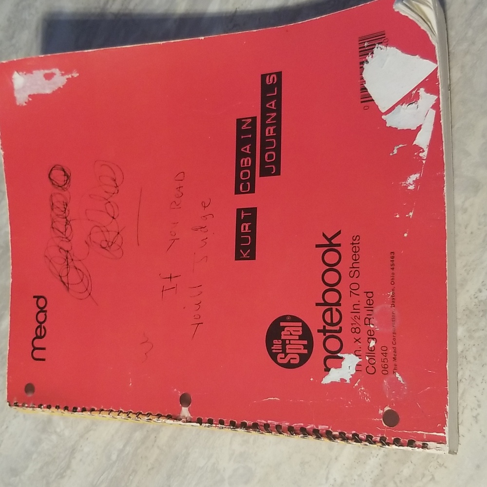 Kurt Cobain journals book